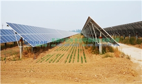 農(nóng)光互補光伏發(fā)電 農(nóng)光互補光伏發(fā)電