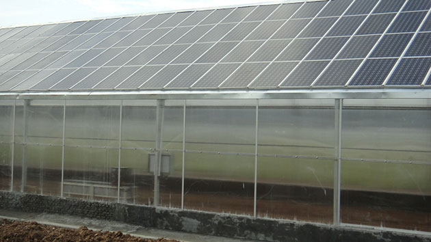 信義農(nóng)業(yè)生態(tài)園230KW光伏農(nóng)業(yè)大棚 信義農(nóng)業(yè)生態(tài)園230KW光伏農(nóng)業(yè)大棚