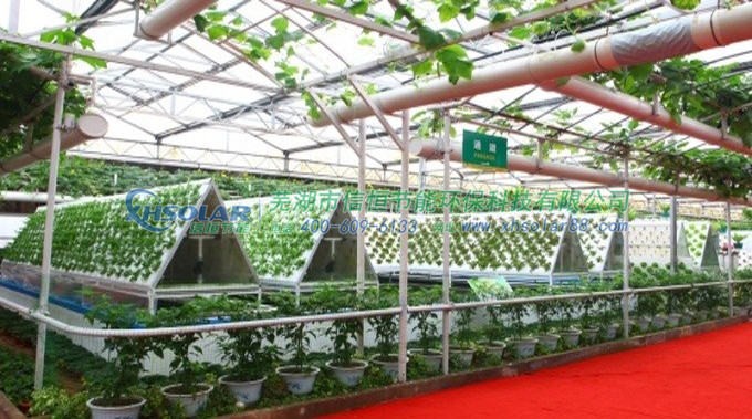 光伏農(nóng)業(yè)大棚解決方案 光伏農(nóng)業(yè)大棚解決方案